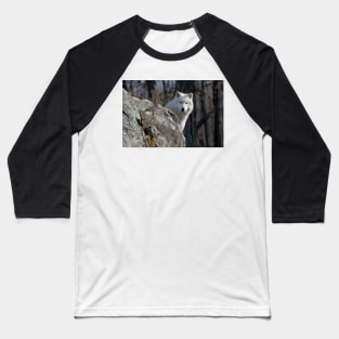 Arctic Wolf Baseball T-Shirt